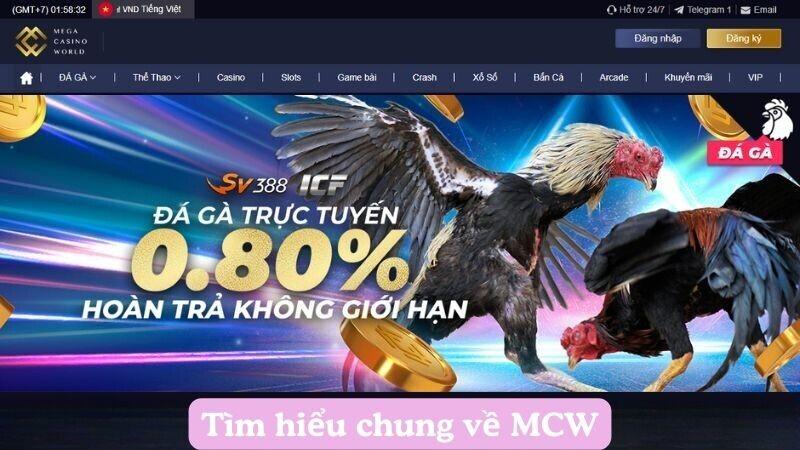 Khám phá thế giới tiki do choi đa dạng và hấp dẫn cho trẻ em