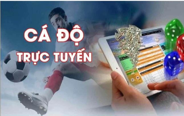 Keo nha cái keo nha cái là gì và làm thế nào để nhận biết keo nha cái uy tín hiện nay